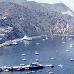 Brad - Avalon Harbor with Casino.